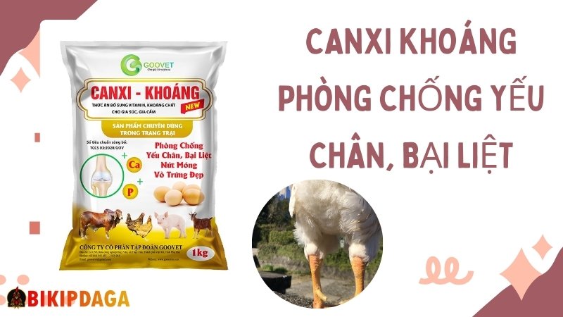 CANXI khoáng phòng chống yếu chân, bại liệt