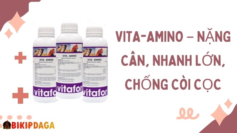 VITA-AMINO – Nặng cân, nhanh lớn, chống còi cọc