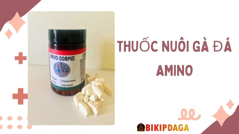 Thuốc nuôi gà đá AMINO