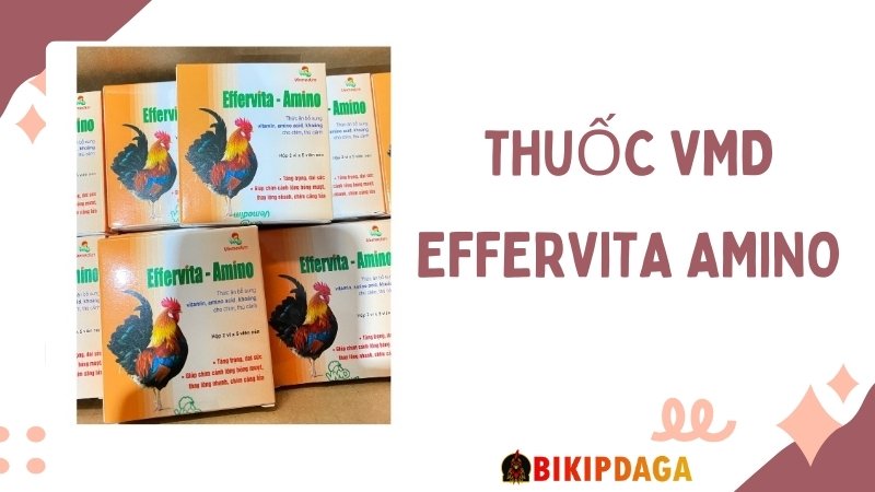 Thuốc VMD Effervita Amino