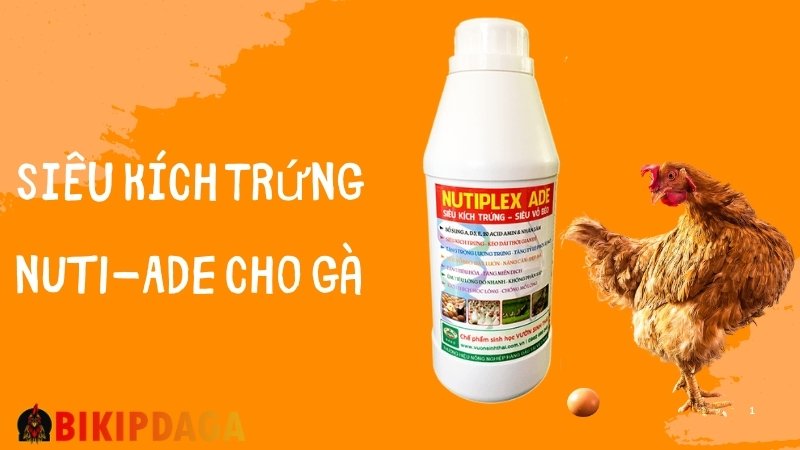 Siêu kích trứng NUTI-ADE cho gà