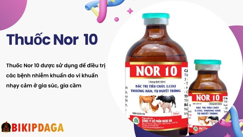 Thuốc Nor 10 cho gia súc, gia cầm