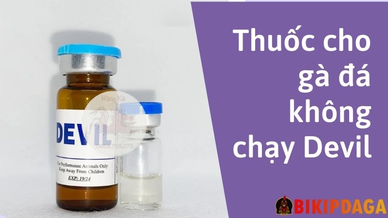 Thuốc cho gà đá không chạy Devil