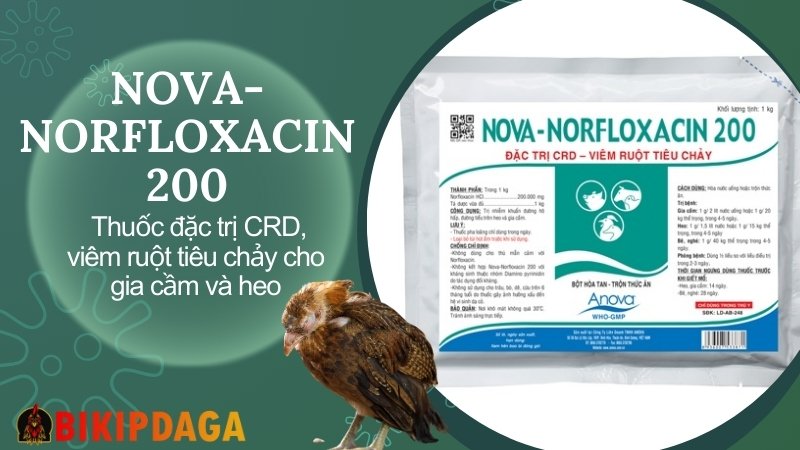 NOVA-NORFLOXACIN 200 - Thuốc đặc trị CRD, viêm ruột tiêu chảy cho heo, gia cầm và bê, nghé