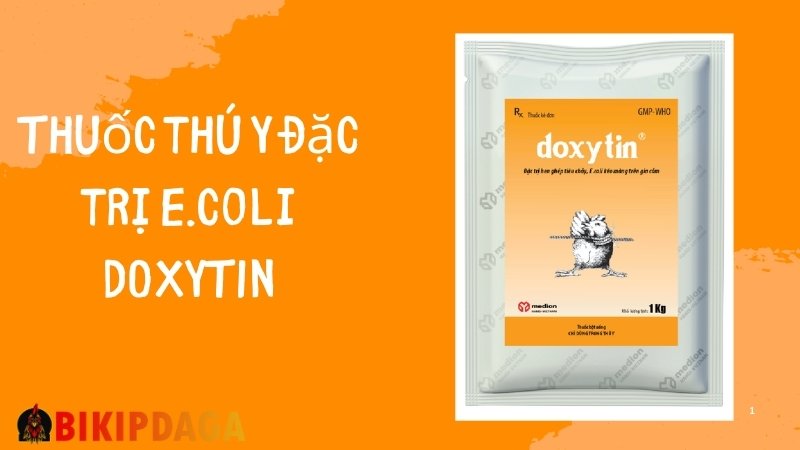 DOXYTIN – Đặc trị tiêu chảy do E.coli, tụ huyết trùng, tiêu chảy ghép