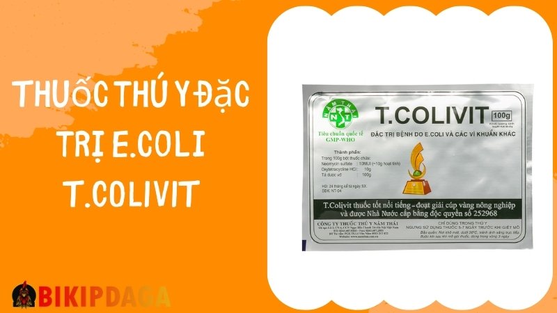 Thuốc thú y đặc trị E.coli T.COLIVIT - Đặc trị bệnh do e.coli