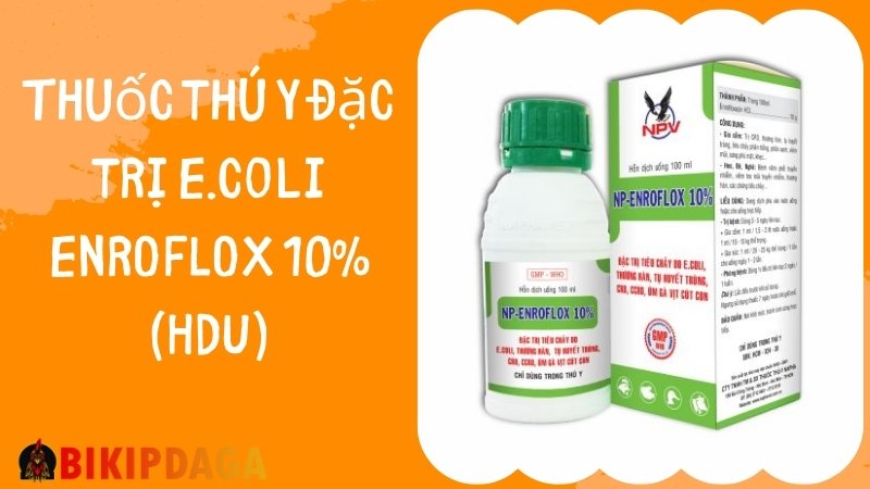 Thuốc thú y đặc trị E.coli ENROFLOX 10% (HDU)