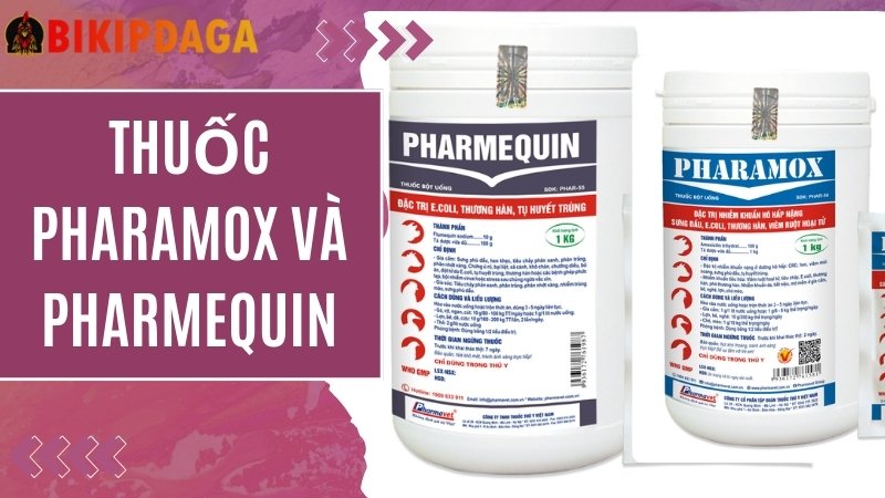 Thuốc Pharamox và Pharmequin