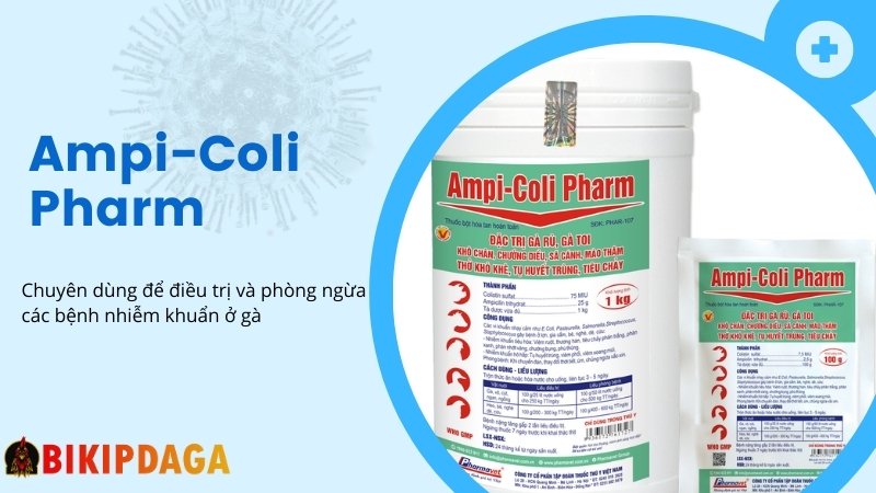  Ampi-Coli Pharm