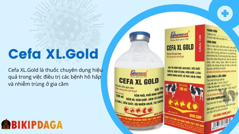 Thuốc Cefa XL.Gold