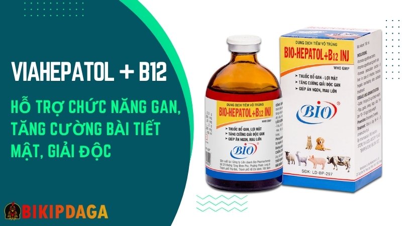 Viahepatol + B12 