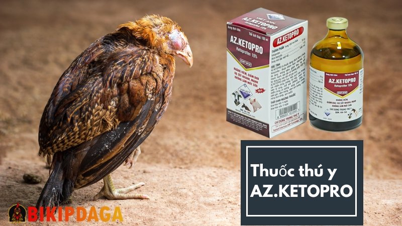 Thuốc Thú Y AZ.Ketopro