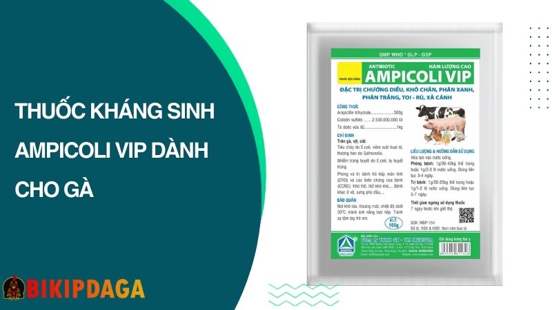 Thuốc kháng sinh AMPICOLI VIP cho gà