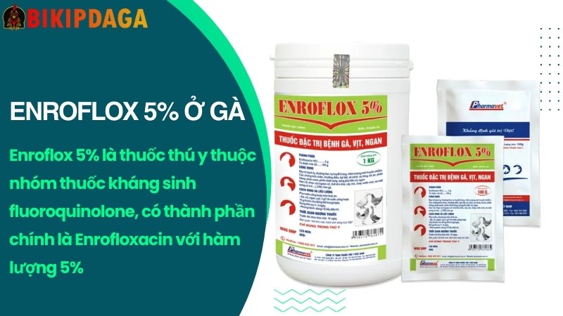 Thuốc kháng sinh Ampicillin – 1000 cho gà