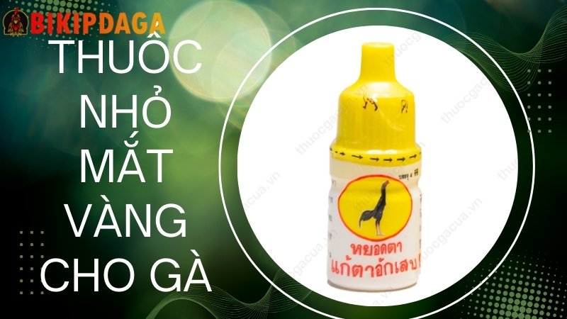 Thuốc nhỏ mắt vàng