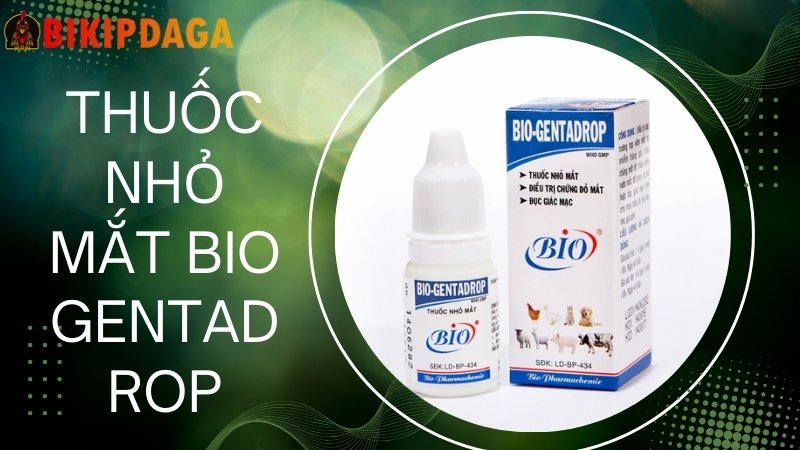 Thuốc nhỏ mắt Bio Gentadrop