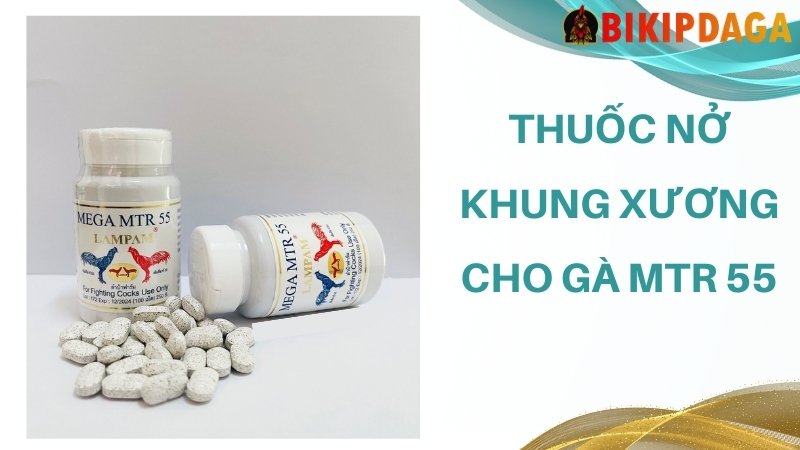 Thuốc nở khung xương cho gà MTR55