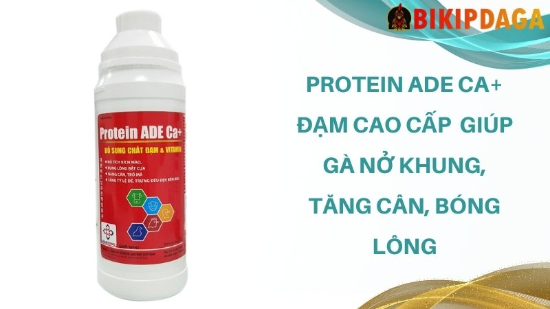 Protein ADE Ca+ Đạm cao cấp giúp gà nở khung, tăng cân, bóng lông cho gà đá