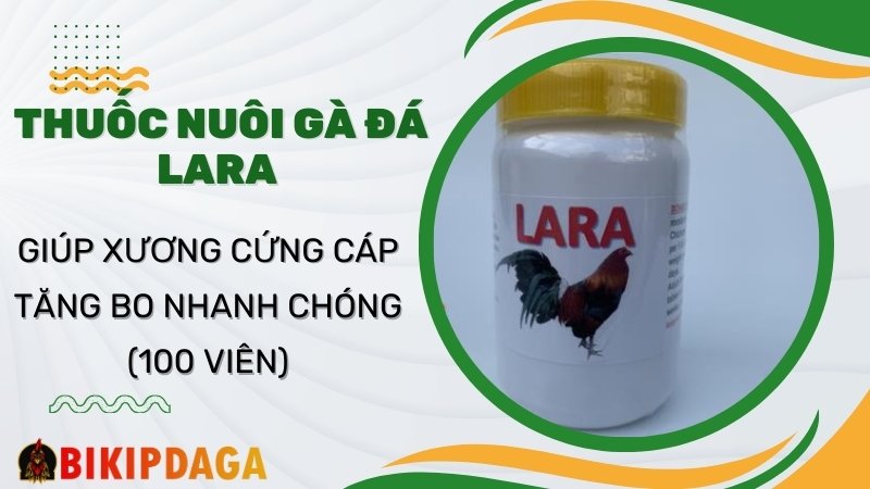 Thuốc Lara giúp xương cứng cáp, tăng bo nhanh