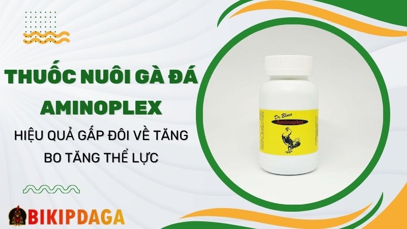 Thuốc Aminoplex tăng cơ bắp, tăng sức bền