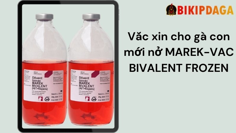  Thuốc cho gà con mới nở MAREK-VAC BIVALENT FROZEN