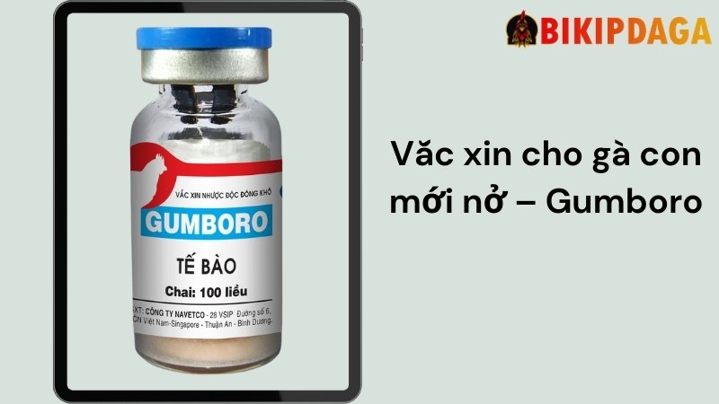  Thuốc cho gà con mới nở – Gumboro