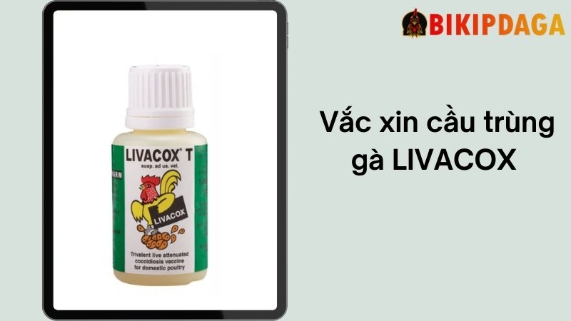  Vắc xin cầu trùng gà LIVACOX