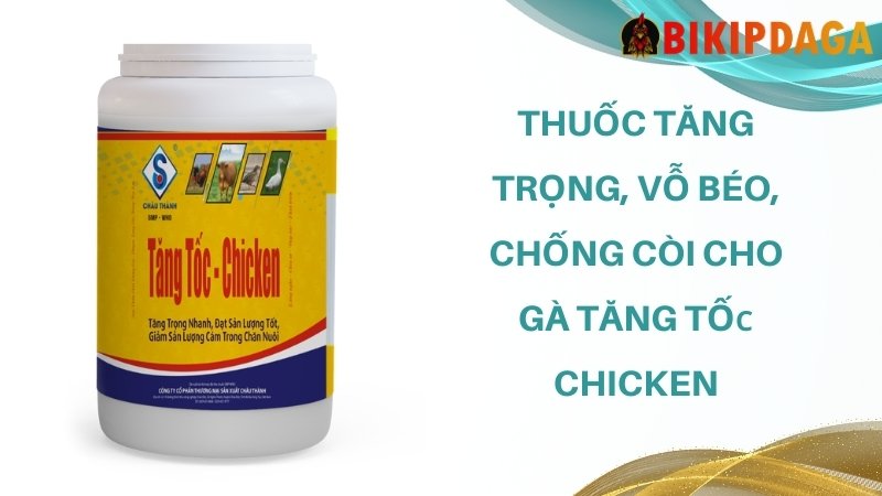 Thuốc tăng trọng, vỗ béo, chống còi cho gà Tăng Tốc Chicken