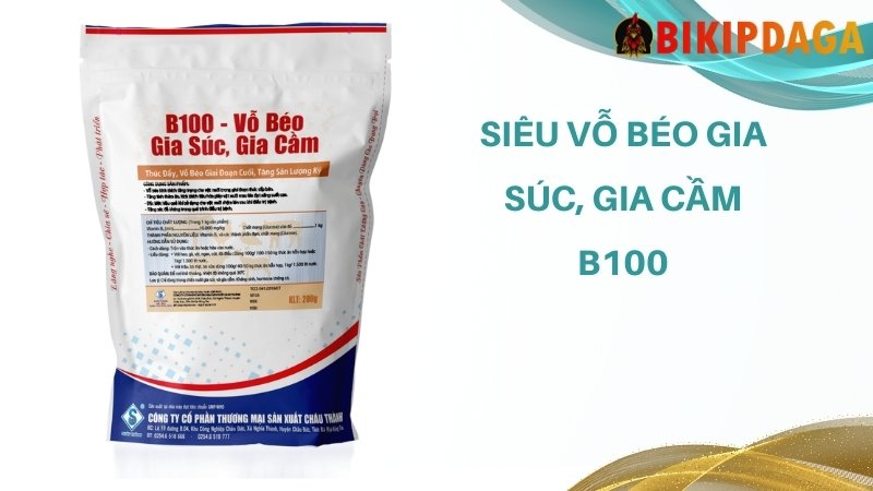 Siêu vỗ béo gia súc, gia cầm B100