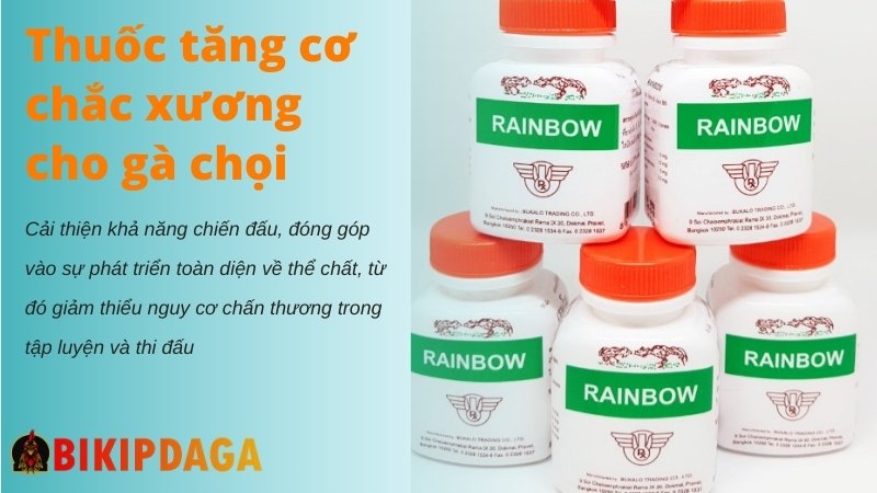 Thuốc chắc xương tăng cơ cho gà chọi