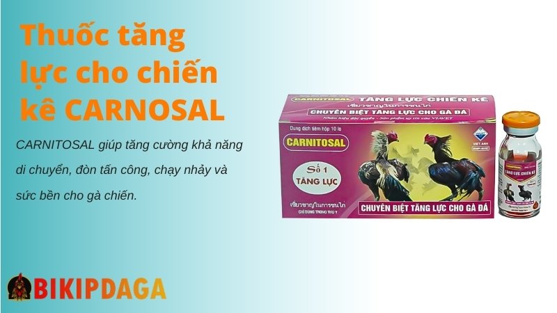 CARNITOSAL tăng lực cho chiến kê