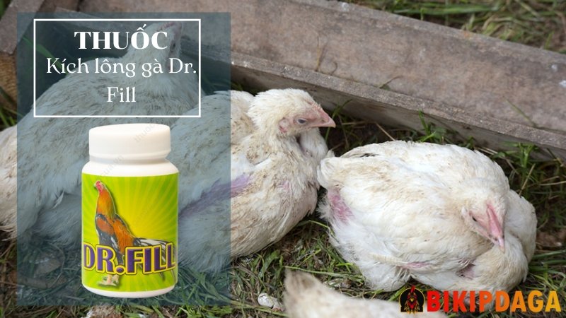 Thuốc kích lông Gà Dr. Fill