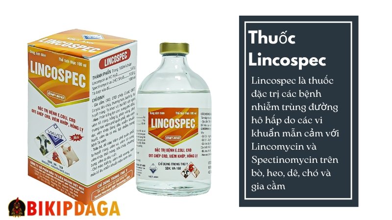 Thuốc đặc trị Lincospec