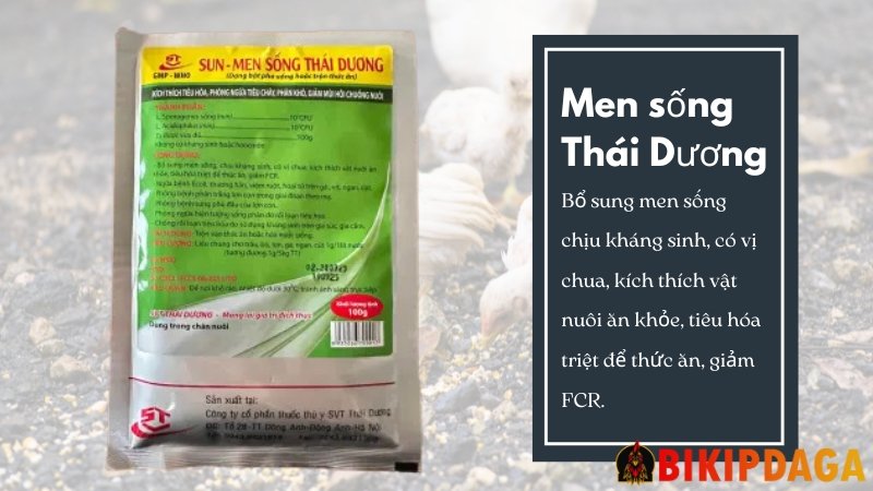 Men sống thái dương