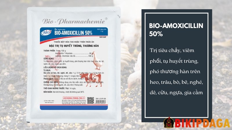 BIO-AMOXICILLIN 50% - đặc trị tụ huyết trùng, thương hàn