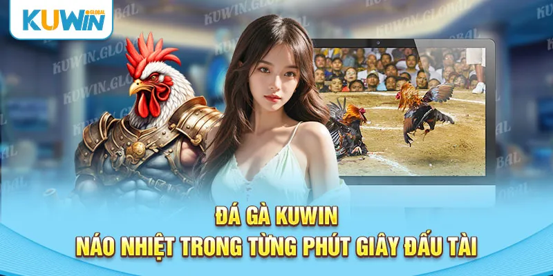 Giới thiệu về đá gà tại Kuwin1