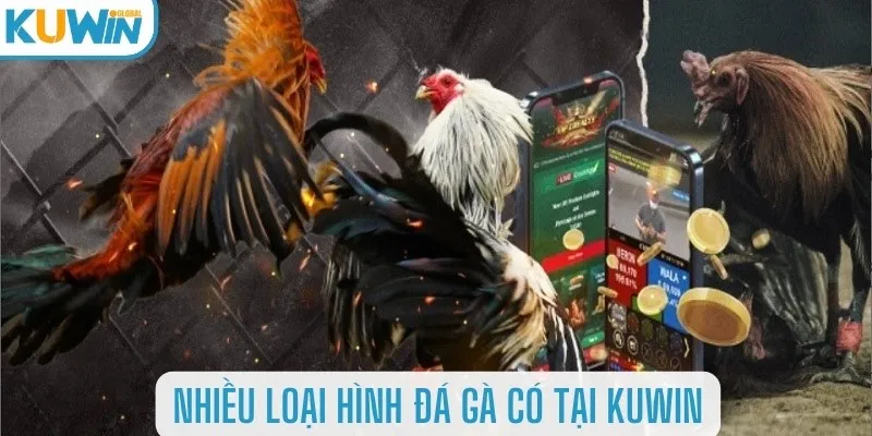 Kinh nghiệm chơi đá gà Kuwin hiệu quả 2