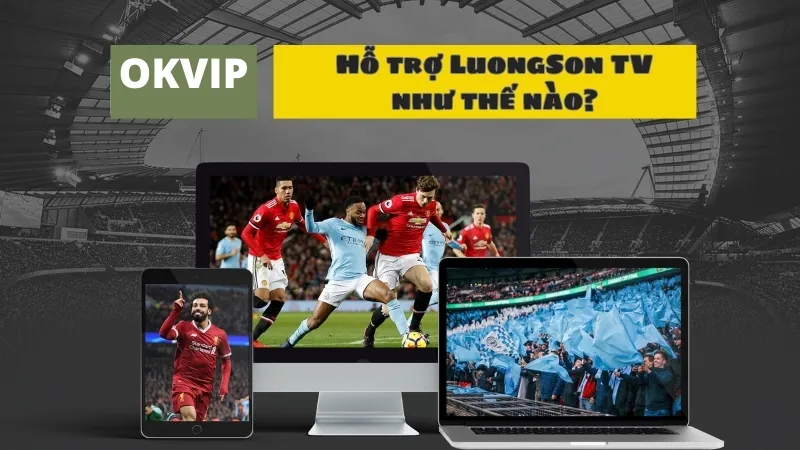 OKVIP hỗ trợ LuongSon TV như thế nào?