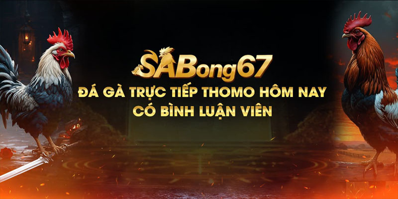 Trải nghiệm không gian đá gà đỉnh cao tại Sabong 67 Casino