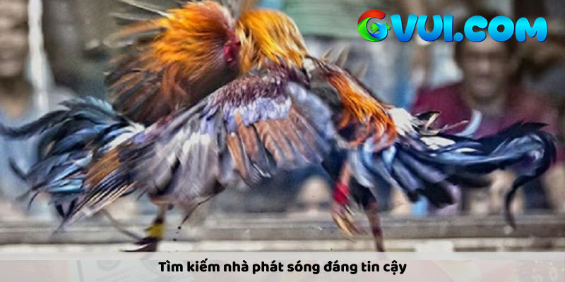 Tìm kiếm nhà phát sóng đáng tin cậy