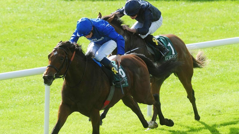 Thời điểm vàng để “đè” cửa Place và Quinella